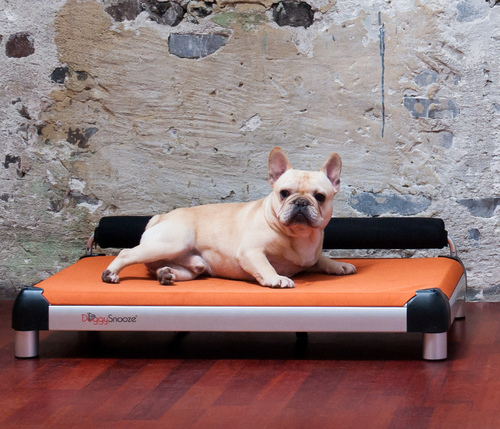 doggysnooze's profile picture. Modish Dog Furniture : Unique, Elevated, Chew Resistant Dog Beds. Sibling to @doggyride and @dutchdogdesign