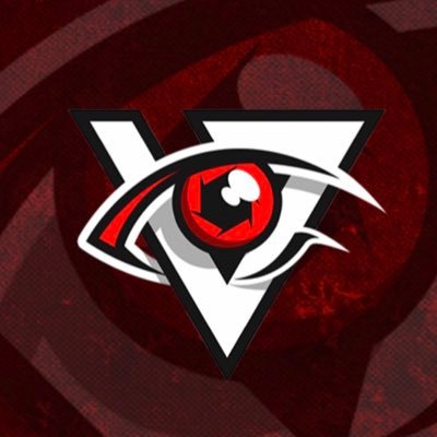 Official account of Team Vision 🇫🇷 #Fortnite #GoVision