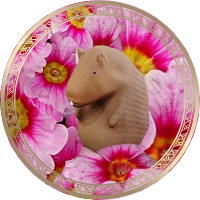 ððð¹ãããªððð· (@starwhite818) 's Twitter Profile Photo ððð¹ãããªððð· (@starwhite818) 's Twitter Profile Photo