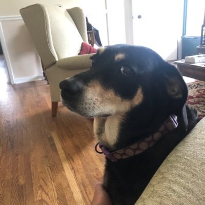 cliff4guth's profile picture. 