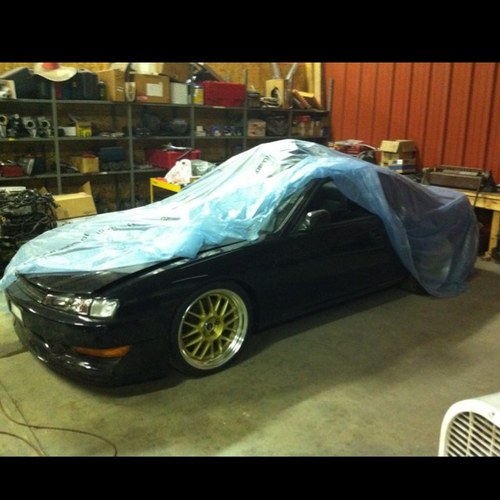 mizzgvus1's profile picture. 