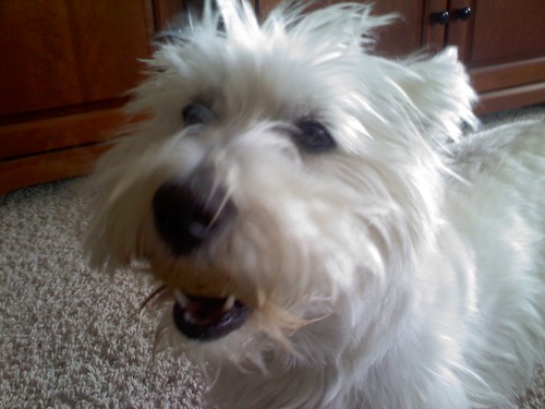 AmandaRae53's profile picture. Always in All Ways: Christ follower; wife to one; mom to three; momma to many; grandma to two. Lovin life