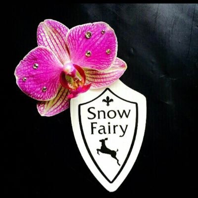 SnowFairy -目黒のお花屋さん-さんのプロフィール画像