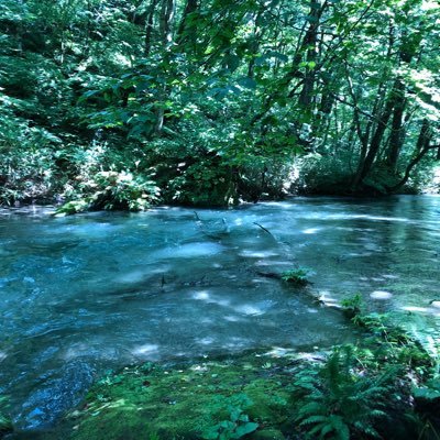 ○小・中・高校など、教育関係者に向けての教育・社会科に関連する情報をゆるく発信したり、交流したい ○日本の社会の発展のために!!◯不定期更新 ○ご意見・ご要望・ご感想をゆるく募集しています
