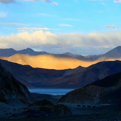 harshadamilind's profile picture. 