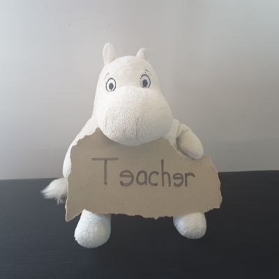 Teacher, book-lover, languages, maths and music