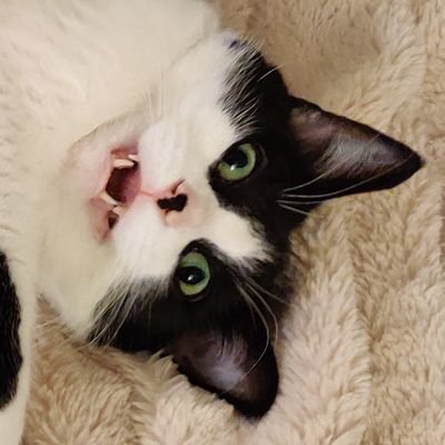 degrowthebourg's profile picture. 