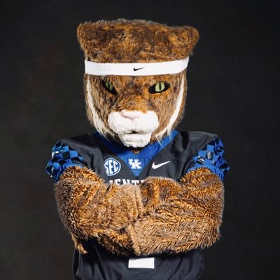 The official Twitter account of the Kentucky Wildcat. Go Cats! #WeAreUK #BlueGetsIn #BBN #GoBigBlue