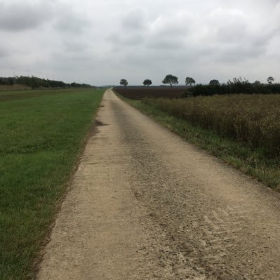 packagingman's profile picture. I will always be kind to you first - but if you attack my family, or bully another life, I will not stand idly by.