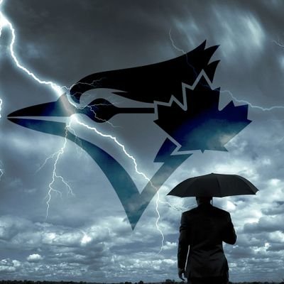 BlueJaysWeather Profile Picture