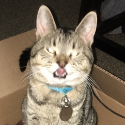 alekboeding's profile picture. The world has got a funny way of making us quit