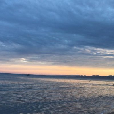 SinaloaIndustri's profile picture. 