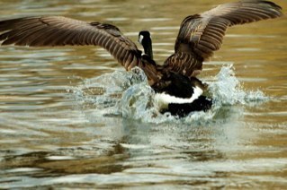 rodwoolcock's profile picture. 