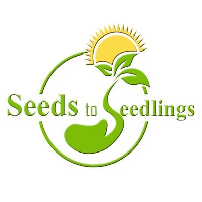 Seeds To Seedlings