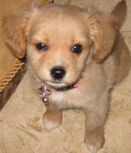 spacecadet808's profile picture. Financial Advisor, likes to look on the brighter side of life and is a very happy go lucky kind of gal