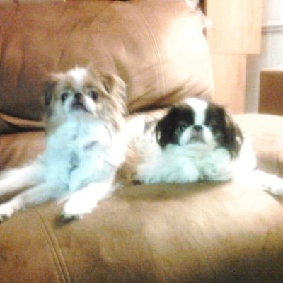 Pbrowning1811's profile picture. 