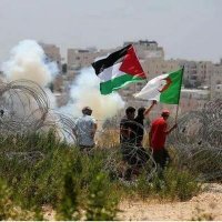 ابو حسام الدين. (@n73djamel) 's Twitter Profile