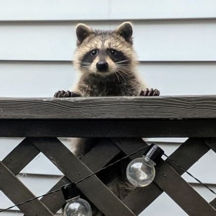 OurMidtown's profile picture. Midtown went through a drastic change since 3 shelters opened. These are just a few of the things going on around Yonge & Eglinton, Mount Pleasant, Roehampton