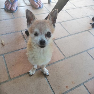 JaneGall1127's profile picture. 