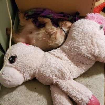 kimjeter89's profile picture. 