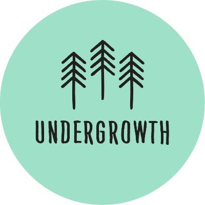 Undergrowth is the yotube-channel you go to for norwegian music that you might haven't heard before, but definitely should.