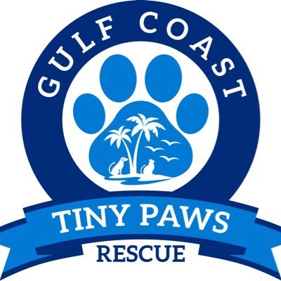 GulfPaws's profile picture. Gulf Coast Tiny Paws Rescue is a non-profit cat and dog rescue/foster/adoption service specializing in kittens and puppies, based in League City, TX (Houston).