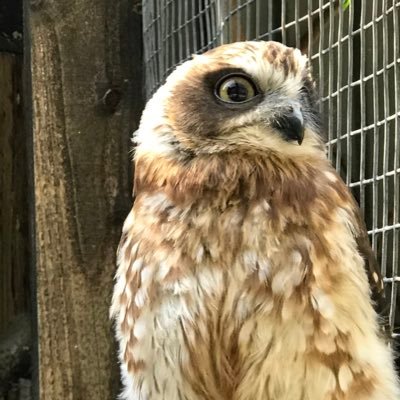 NeherDr's profile picture. Biologist