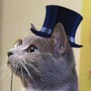 Just a cat with a tophat trying to pay my bills.
No minors. Please be above 18 or I'll shoot.