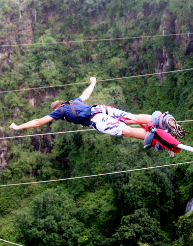 Shrap's profile picture. Software Gardener, UX & DevOps Enthusiast, Geek.