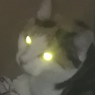 boiiiさんのプロフィール画像