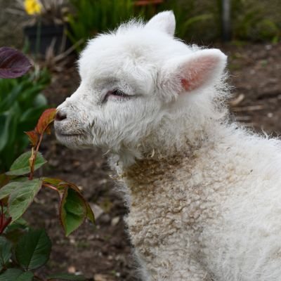 kellyeco3's profile picture. 