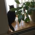 Mary Brumley (@instagamluv) Twitter profile photo Mary Brumley (@instagamluv) Twitter profile photo