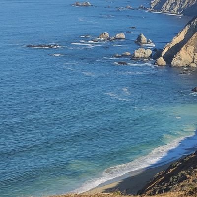 rskshoba's profile picture. 