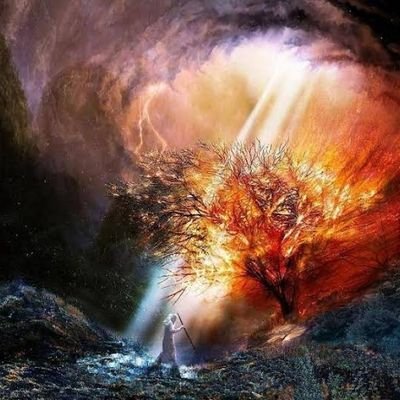 DemonioRodrigu1's profile picture. justiciero por naturaleza