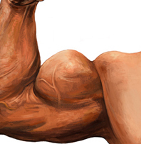 only_muscle's profile picture. Muscle maniac/fitness junkie
I tweet about nutrition, health related issues and bodybuilding