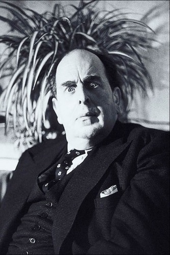 stelingenfelter's profile picture. I am new to Twitter and I am learning how video mall works.