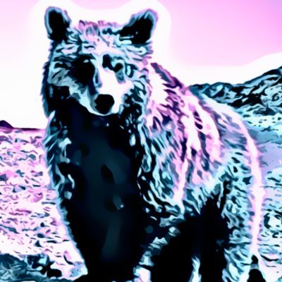 mnbotko's profile picture. 