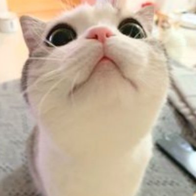 こっこ على تويتر 手越 ネタが尽きなすぎる 笑 手越祐也の元カノ 松浦勝人の愛人x子は誰 元aaa伊藤千晃の名前も T Co U8itna9n8d 手越祐也 松浦勝人 伊藤千晃