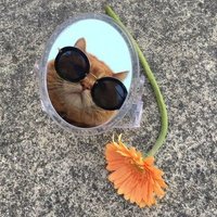 하긴🤧 (@ing_haru) 's Twitter Profile Photo