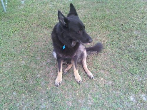 mdemitro's profile picture. 