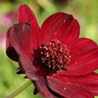 Helen Seaward (@helen_seaward) 's Twitter Profile