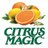 TheCitrusMagic's profile image