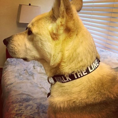 abdrs27's profile picture. Teacher. Reader. Obsessed with documentaries, Coca-Cola, and my dog. Random spurts of tweets about (mostly) sports and horrible YA lit movie adaptations.