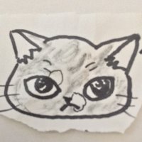 cga3de (@k11kai2) 's Twitter Profile