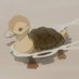 sodden turtle duck (@chickenjibblies) Twitter profile photo