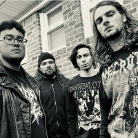 Tombstoner (@tombstoner6) 's Twitter Profile