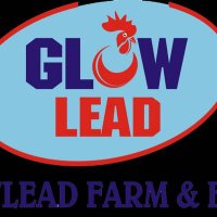 GLOWLEAD (@glowlead1) 's Twitter Profile