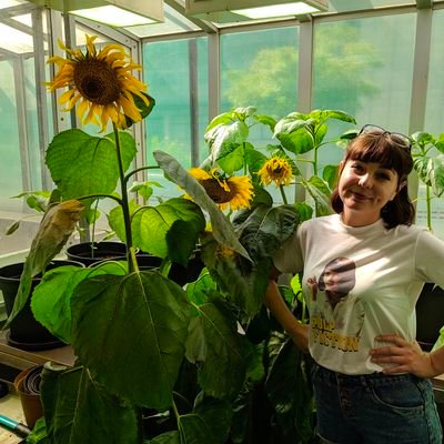 MSc Biotech Candidate at FABI and the Department of Plant and Soil Sciences.
Science, Genetics, Sunflowers and the pursuit of knowledge!