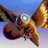 skyraftwanderer's profile image