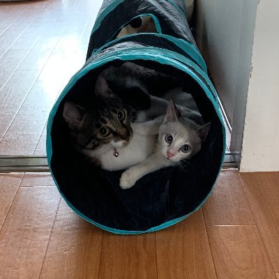 me19921002's profile picture. 医療系専門学校で先生始めました。